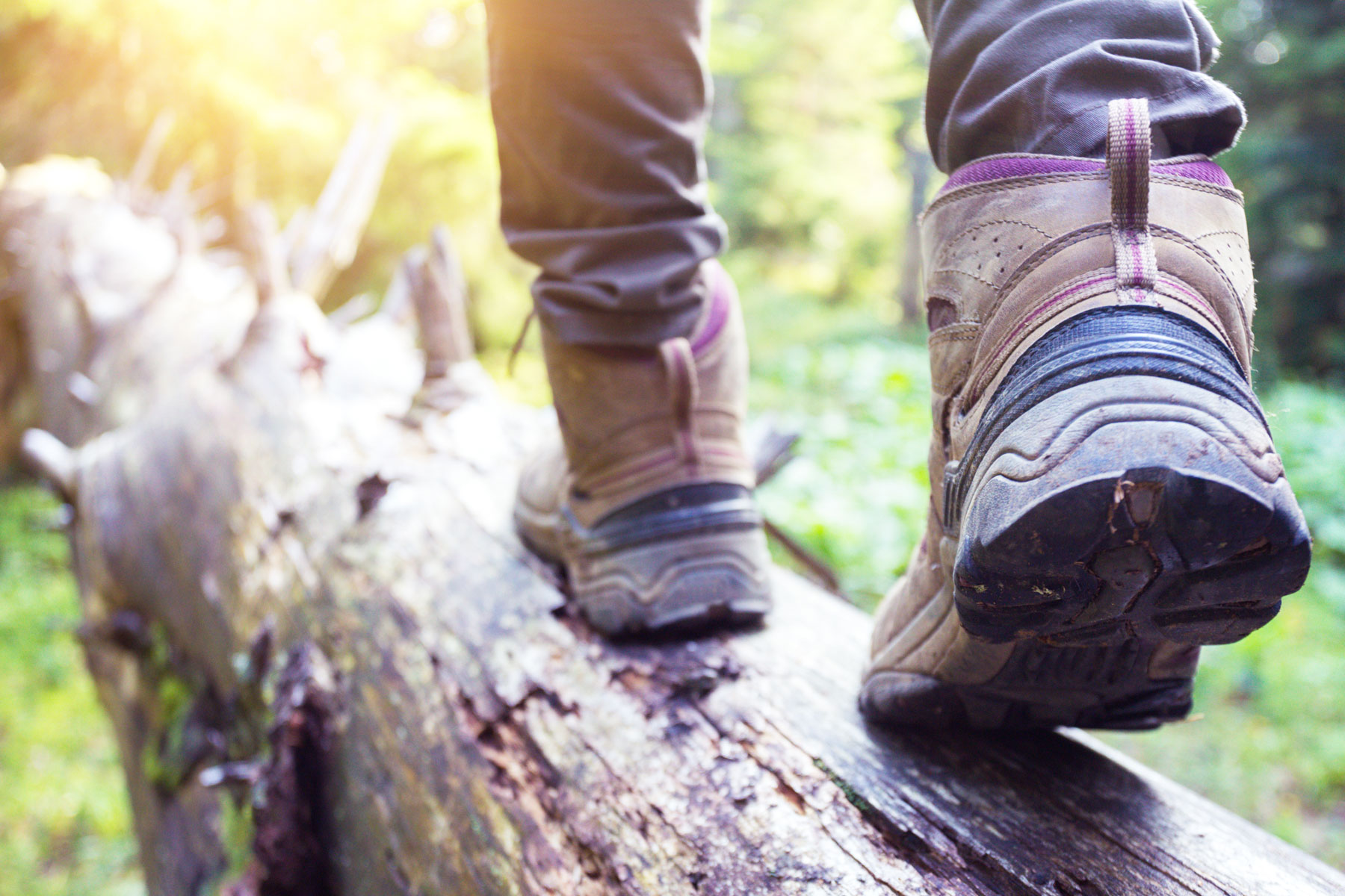 Wandern und Biken auf den Routen im Erzgebirge